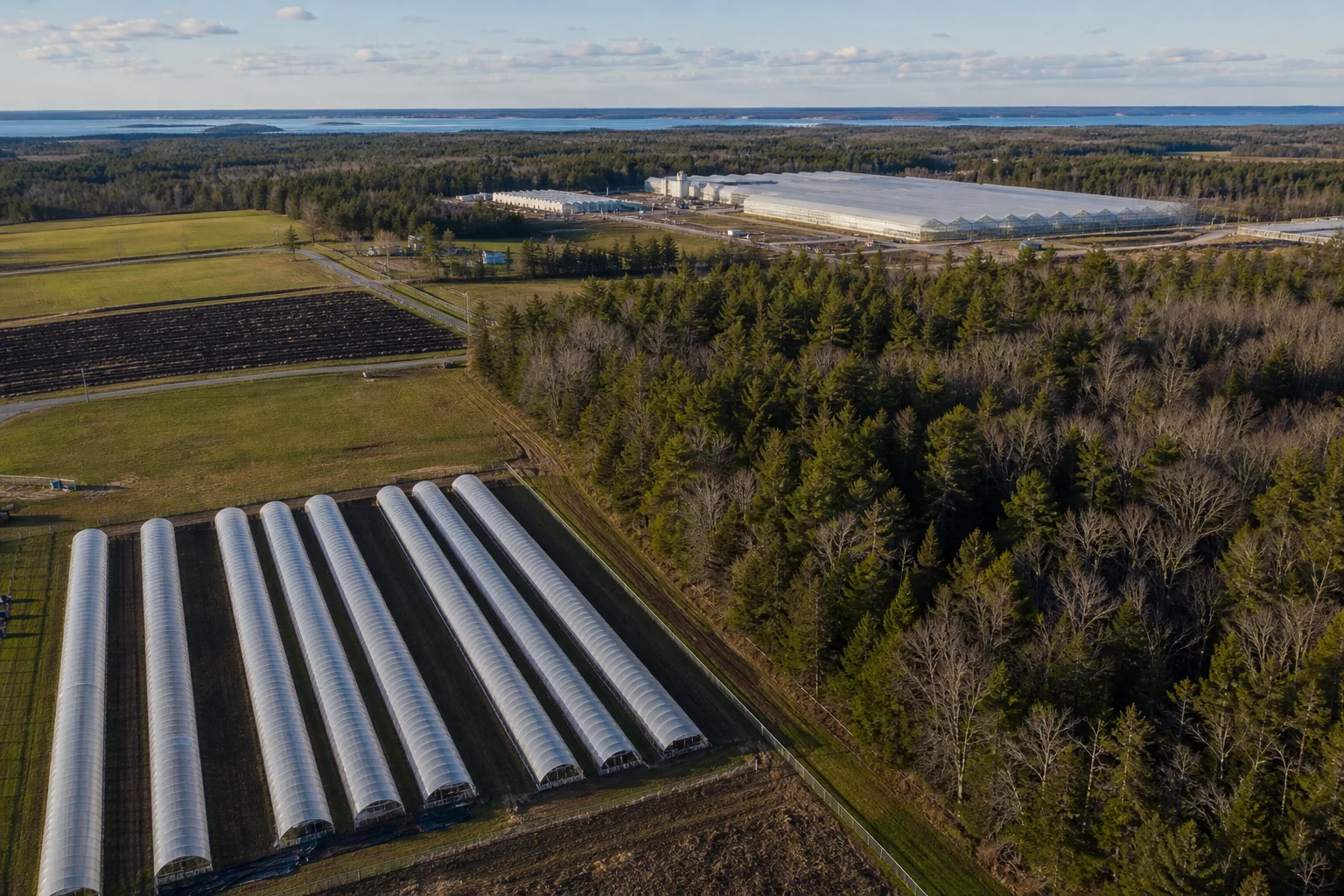 Aerial view of mixed farmland and greenhouses in Maine at late afternoon, showing fields and hoop houses.