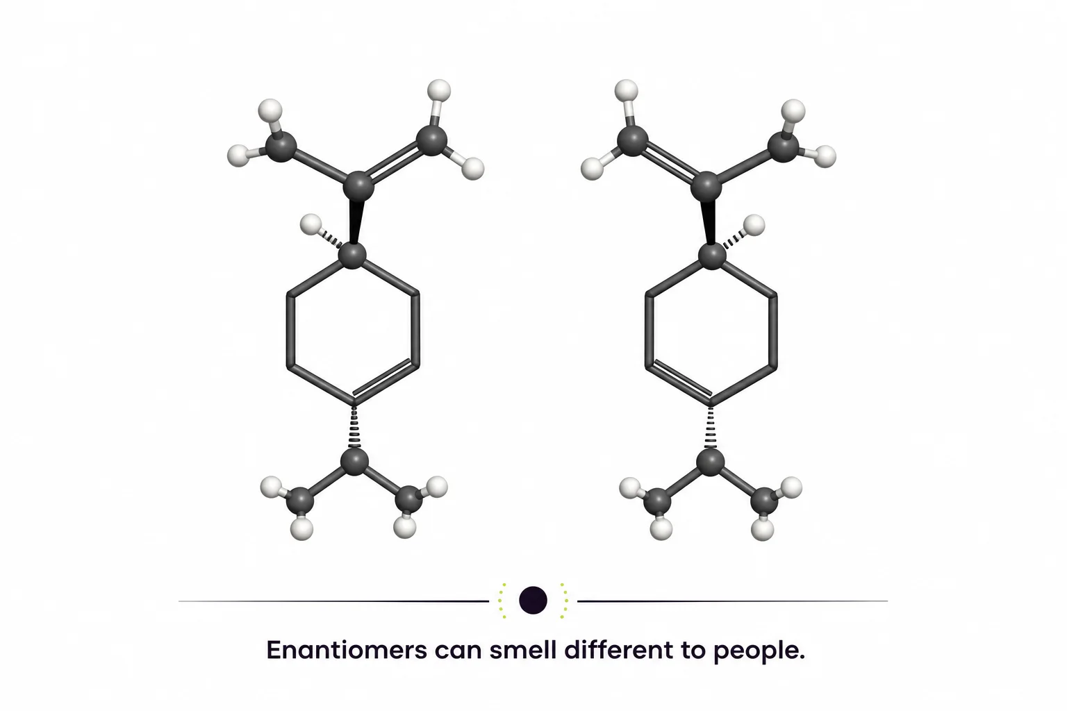 Illustration comparing two enantiomers of limonene and a short note that enantiomers smell different to humans.