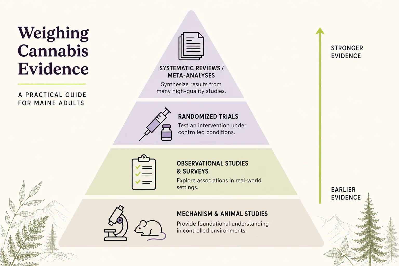 Schematic evidence pyramid diagram labeling mechanisms, animal, observational, trial, and review layers