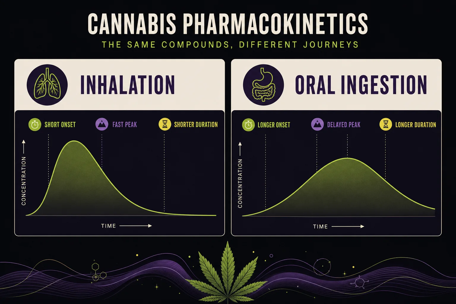 Illustration comparing inhalation vs oral routes with timing bars (no dose numbers)