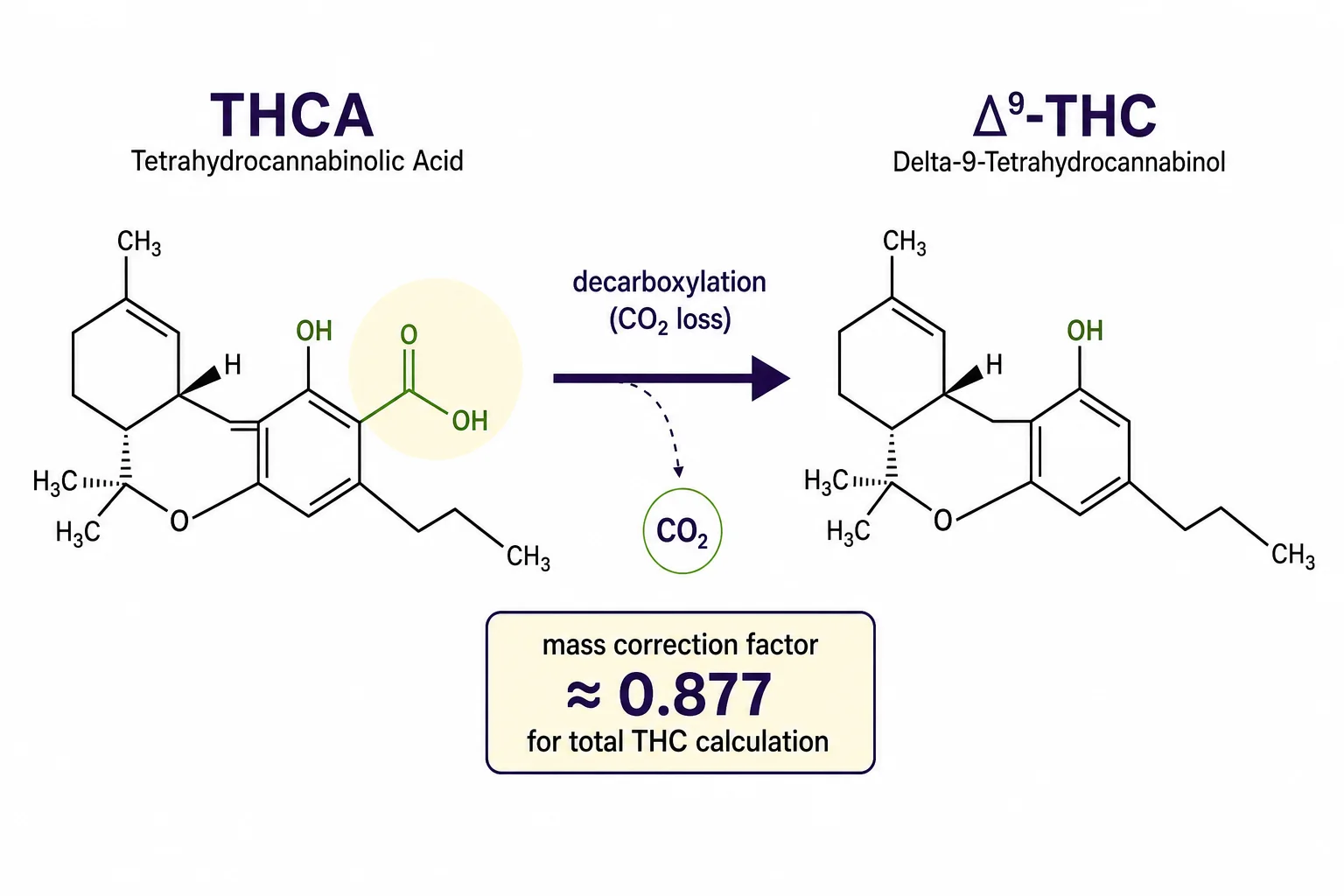 Diagram explaining THCA decarboxylation to Δ9‑THC and the 0.877 mass-correction factor used to calculate total THC.
